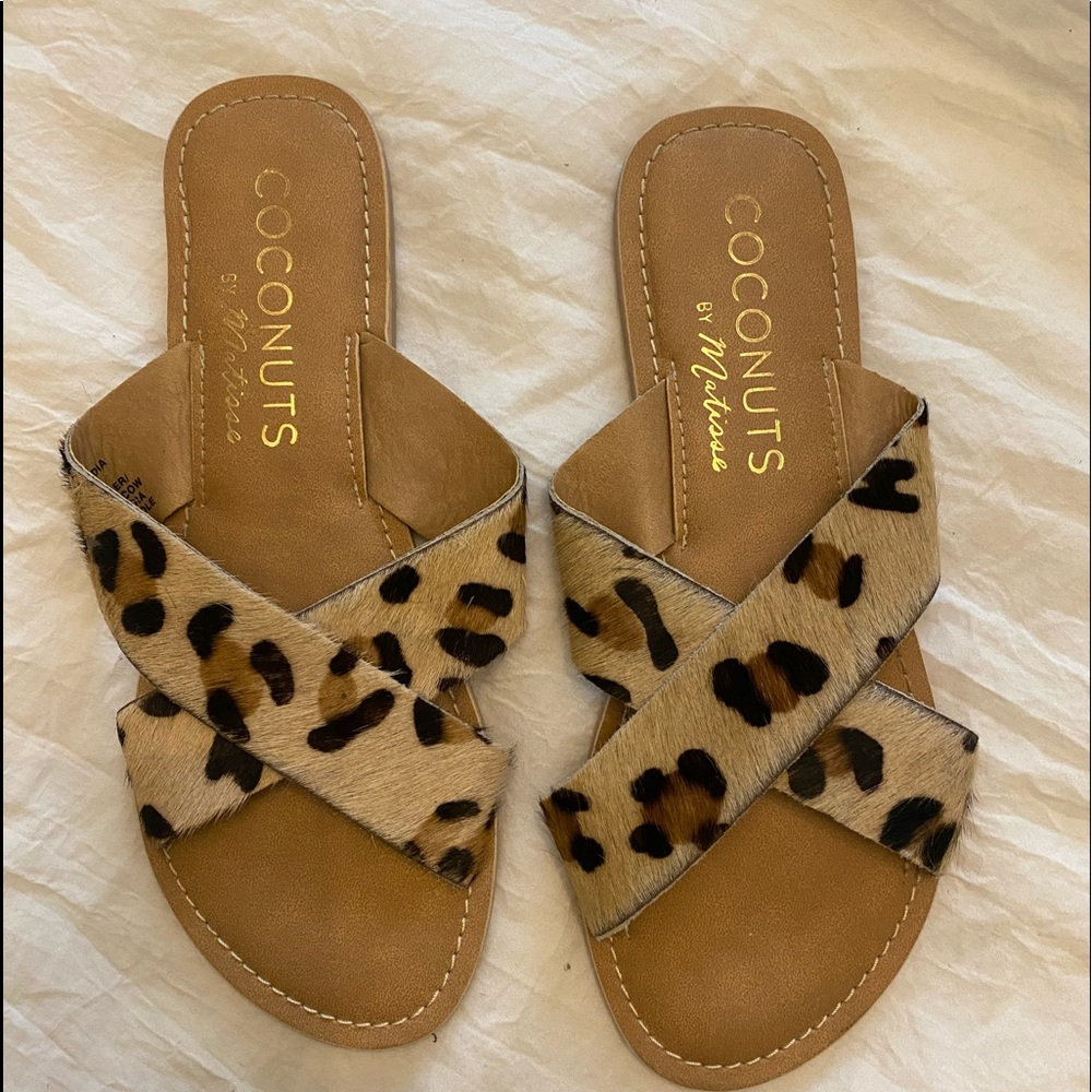 Cheetah Coconuts